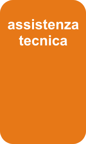 assistenza smart